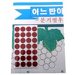 분기별 우승 일람표