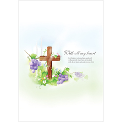 A4 4면 주보-3023 (1속 100장)