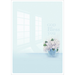 A4 4면 주보-3046 (1속 100장)