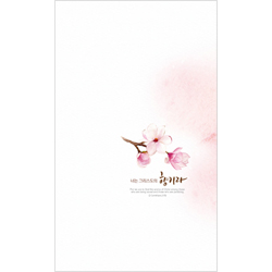 6면 주보-2049 (1속 100장)