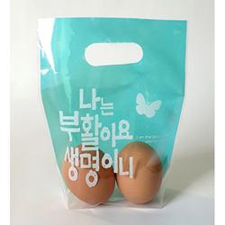 부활절 손잡이 비닐가방 KJ-24 민트 (나비-20매)