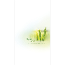 6면 맥추주보-025 (1속 100장)