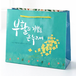 부활절 쇼핑백(대) KJ-26 (유체꽃-10매)