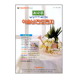 이슬비 전도편지1-1 소나무(장년남성전도용)