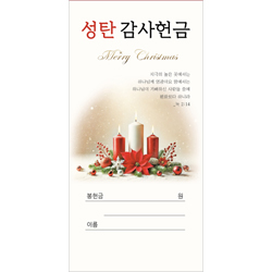 성탄감사헌금봉투 11 (1속 100장)