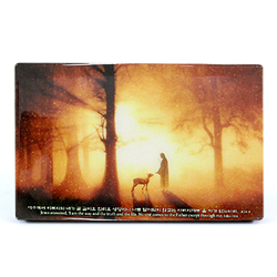 캘리성화액자 빛되신예수(소)