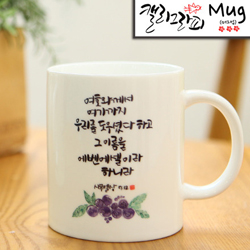 마이제이디_HC45_에벤에셀/국내산