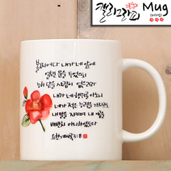 마이제이디_HC50_열린문/국내산