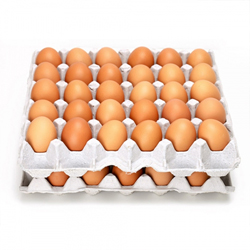 부활절 A.구운계란 6069 (미포장 2판 60개)