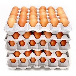 부활절 B.구운계란 6069 (미포장 5판 150개)