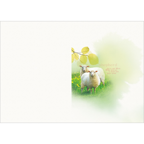 A4 4면주보-1091 (1속 100장)