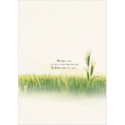 <font color=blue><b>A4 4면 맥추주보</b></font>-1114 (1속 100장)
