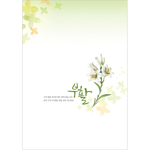 <font color=blue><b>A4 4면 부활주보</b></font>-1109 (1속 100장)