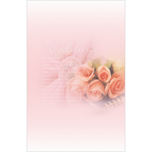 4면 미주용주보 1178 (1속 100장)