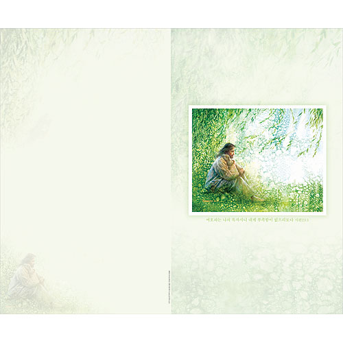 4면 일반주보-1309 (1속 100장)