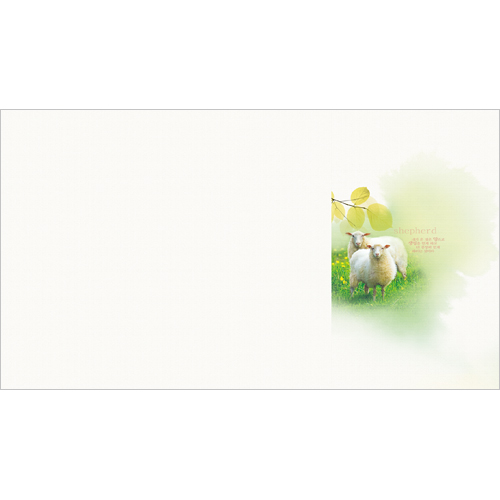 6면 일반주보-1321 (1속 100장)