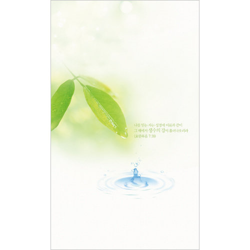 6면 일반주보-1324 (1속 100장)