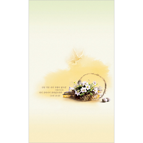 4면 부활주보-2113 (1속 100장)