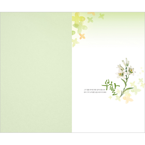 4면 부활주보-2115 (1속 100장)