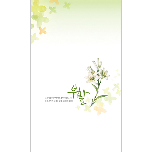 4면 부활주보-2115 (1속 100장)