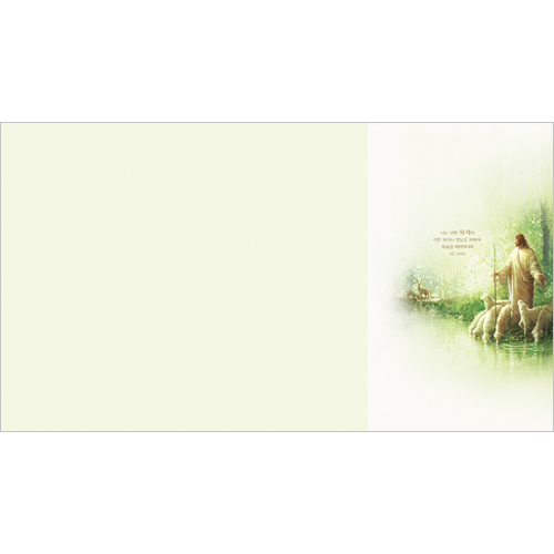 6면 일반주보-200005 (1속 100장)
