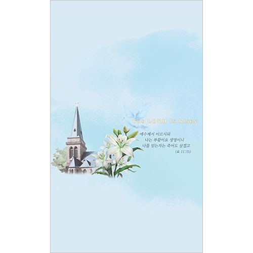 4면 부활주보-2116 (1속 100장)