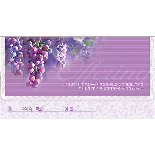 무지 헌금봉투-3703 (1속 50장)