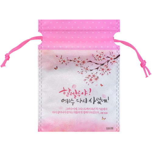 <font color=red>[10%할인+5%적립] </font>부활 부직포 기프트백 6846-3 (10개)#