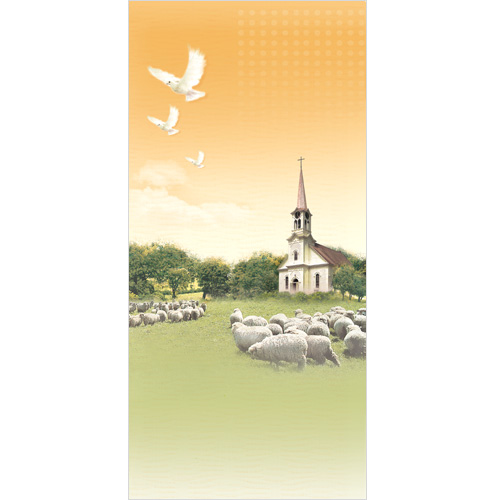 A4 6면주보 (1속 100장)