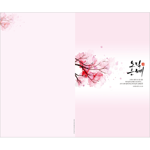 4면 일반주보-은혜/분홍 (1속 100장)