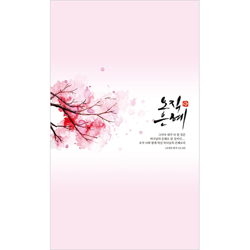 6면 일반주보-은혜/분홍 (1속 100장)