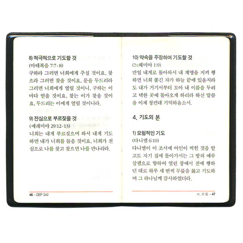 [주제별 성경암송] 한눈에 보는 DEP 242구절(개역한글)