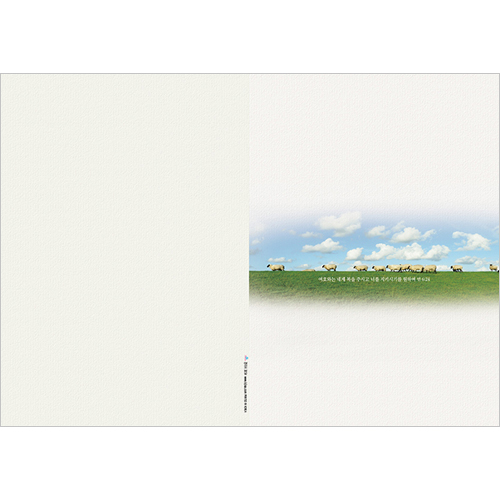 A4 4면 주보-3054 (1속 100장)