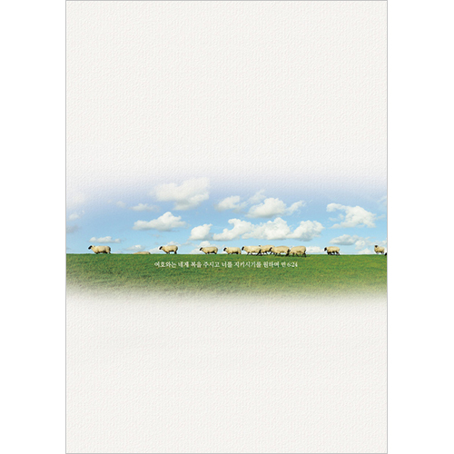 A4 4면 주보-3054 (1속 100장)