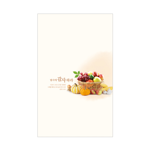 6면 추수주보-023 (1속 100장)