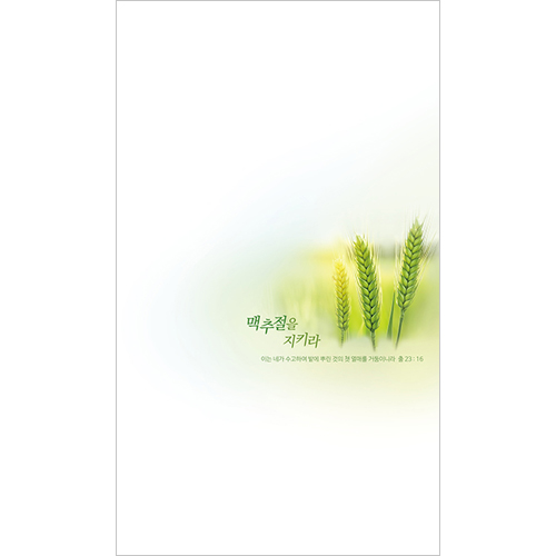 4면 맥추주보-025 (1속 100장)