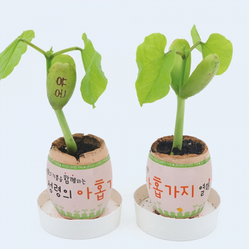 NEW 신기한 부활절 달걀 (1BOX-48개)